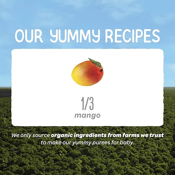 Happy Baby Organics Clearly Crafted Stage 1 Baby Food, Mangoes, 3.5 Ouncee Pouch (Pack of 16)