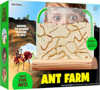 Dan&Darci Ant Farm Kit for Kids - Farms Colony - Includes Ants Voucher - Sand Habitat Kits - Bug Terrarium House - Educational Science Gifts for Kid - Nature Learning Toys for Boys, Girls & Adults