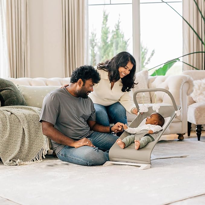 Baby Delight Alpine Deluxe Portable Baby Bouncer | Infant | 0-6 Months | 100% GOTS Certified Organic Cotton Fabric | Organic Sage