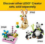 LEGO Creator 3 in 1 Playful Cat Toy - Building Toy with 3 Building Options, Cat, Dog, or Pigeon - Birthday Gift for Kids - Animal Figures for Kids, Girls and Boys, Ages 8+ - 31163