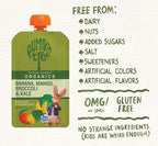 Pumpkin Tree Peter Rabbit Organics, Banana, Mango, and Kale, 4 Squeeze Pouch, Mango, Broccoli & Kale, 4.4 Ounce (Pack of 10)