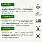 Traditional Medicinals Tea, Organic Pregnancy Tea, Supports a Healthy Pregnancy, Raspberry Leaf, Kosher, Non-GMO, Caffeine-Free, Compostable - 96 Tea Bags (6 Pack)