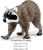 FUNSHOWCASE African Jungle Animals Civet Civettictis Civetta Toy Figure Realistic Plastic Figurine Height 2.2 Inch