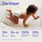 Coterie Baby Wipes + Diapers Kit, Size 2 Diapers (186 Count) & 12 Pack (672 Count) Baby Wipes with 99% Water, Plant Based Materials, Hypoallergenic for Sensitive Skin