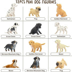 Toymany 12PCS Mini Dog Figurines Playset, Realistic Detailed Plastic Puppy Figures, Hand Painted Emulational Tiny Dogs Animals Toy Set, Cake Toppers Christmas Birthday Gift for Kids Toddlers
