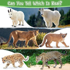 Toymany 14PCS Mini North American Forest Animals Figurines, Realistic Jungle Animal Toys Includes Elk Pronghorn Jaguar Gey Fox for Kids Adults Toddlers