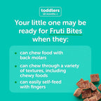 Beech-Nut Toddler Snacks Fruti Bites with Hidden Veggies Quinoa & Chia, Fruit Snack Variety Pack for Babies and Toddlers, 6 Boxes (72 Individually Wrapped Packs)