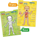 BEST LEARNING i-Poster My Body - Interactive Educational Human Anatomy Talking Game Toy | Learn Body Parts, Organs, Muscles and Bones for Kids Aged 5 to 12 Years Old