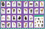 Cute Animals Poster Sticker Book - 4-Book Bundle for Kids Ages 3+, 400+ Stickers, 28 Mini Posters, 4 Giant Fold-Out Posters in 48 Full-Color Pages