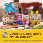 Earth's Best Organic Yogurt Smoothie Pouches, 24+ Months, Fruit Yogurt Smoothie for Toddlers 24 Months and Up, Banana Peach, 4.2 Ounce Resealable Pouch (Pack of 12)