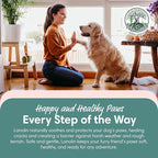 100% Pure Lanolin Cream - Handmade, Unrefined Balm for Dry & Itchy Skin, Cracked Lips, Breastfeeding, Baby Care, Moisture-Rich, Nursing Essentials & Petroleum-Free, Perfect for Hands, Face & Paw Care