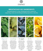 Essence Wearable Aromatherapy Nasal Diffuser – Breathe Easy Essential Oil Nose Ring – Personal Scent Clip for Travel, Work & Everyday Use – Made in USA (3 Pack)