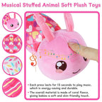 Baby Girls Toys 6-12 Months - Infant 6-in-1 Sensory Music Animal Stuffed Caterpillar Toy with Rattle & Mirror Crinkle for Tummy Time, Newborn 0 3 6 9 12 18 Shower Gifts Soothing Companion Toys, Pink