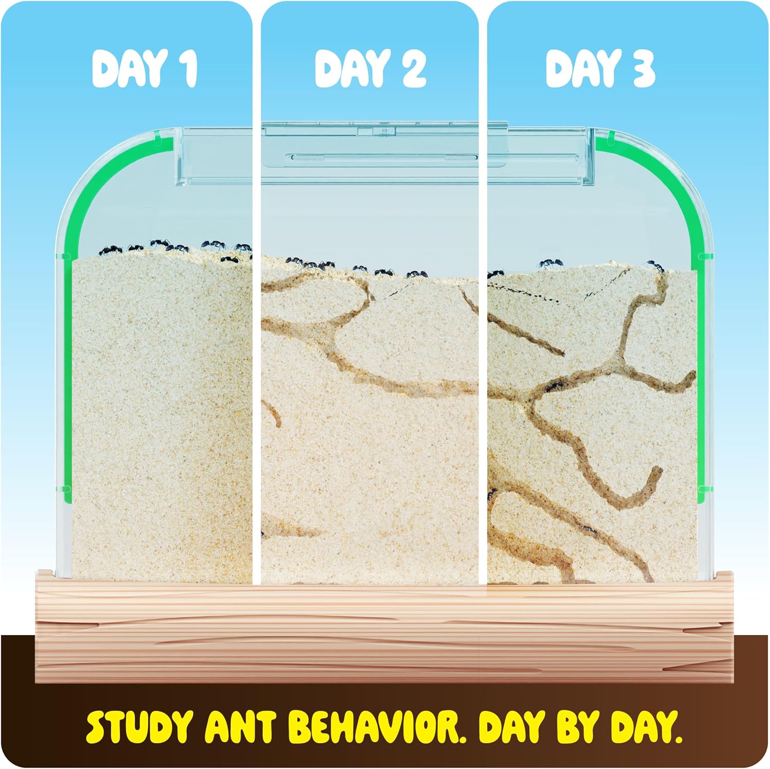 Dan&Darci Ant Farm Kit for Kids - Farms Colony - Includes Ants Voucher - Sand Habitat Kits - Bug Terrarium House - Educational Science Gifts for Kid - Nature Learning Toys for Boys, Girls & Adults