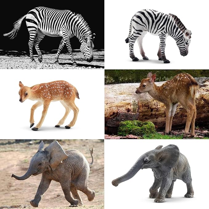 Toymany 12PCS Forest Animals Baby Figurines, Realistic Woodland Animals Figures Toys Includes Elephant, Mountain Lion, Giraffe and Deer Cubs, Cake Toppers Christmas Birthday Gift for Kids Toddlers