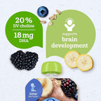 Gerber Stage 2 Baby Food, Organic Banana Blueberry Blackberry Oatmeal, Baby Puree, 12PK