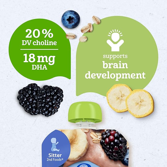 Gerber Stage 2 Baby Food, Organic Banana Blueberry Blackberry Oatmeal, Baby Puree, 12PK