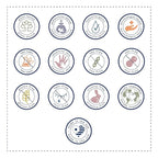 Noodle & Boo Soothing Baby Body Wash for Gentle Baby Care, 8 Fl oz