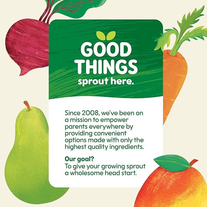 Sprout Strawberry Pear Banana Organic Baby Food 3.5 oz Pack of 12