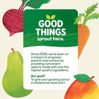 Sprout Strawberry Pear Banana Organic Baby Food 3.5 oz Pack of 12