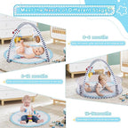 Baby Play Mat, 4-in-1 Baby Play Gym Tummy Time Mat with Ball Pit and 5 Detachable Toys for Newborn to Develop Sensory Exploration and Motor Skill 0-6-12 Months