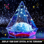 Original Stationery Starry Night Giant Crystal Growing Terrarium Kit for Kids, Fun Crystal Growing Kit with Glow in The Dark Stickers and Glitters, Awesome Gift Idea and Science Kits, Ages 3-14