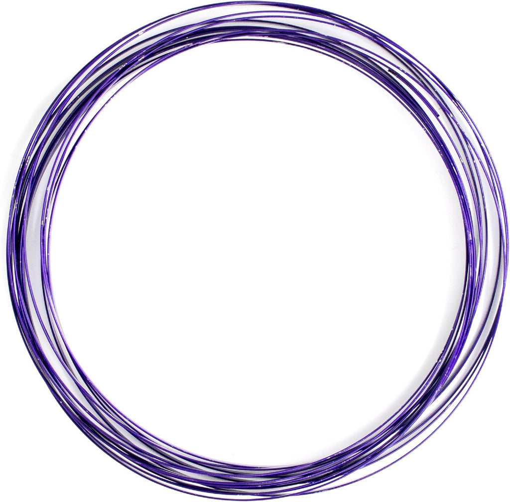 Digital Energy Kinetic Educational Spring Toy - Multi Sensory Interactive 3D Shaped Flow Ring ()