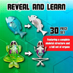 Top Secret Toys Mega Lab Dissect It Kit for Kids, Synthetic Frog and Piranha Dissection Kids Science Kit with Tools, STEM Biology Toys for Ages 6+