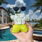 2 Sets Doll Clothes for 17cm Doll, Cute Doll Clothes and Accessories, Outfit Sets 2025 Fashion Style (Holiday, 18Inch)