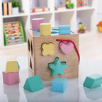Shape Sorter Toddler Toy Classic Wooden Toy for Baby Boys & Girls Learning Educational Color Sorting Cube Toys for Kids