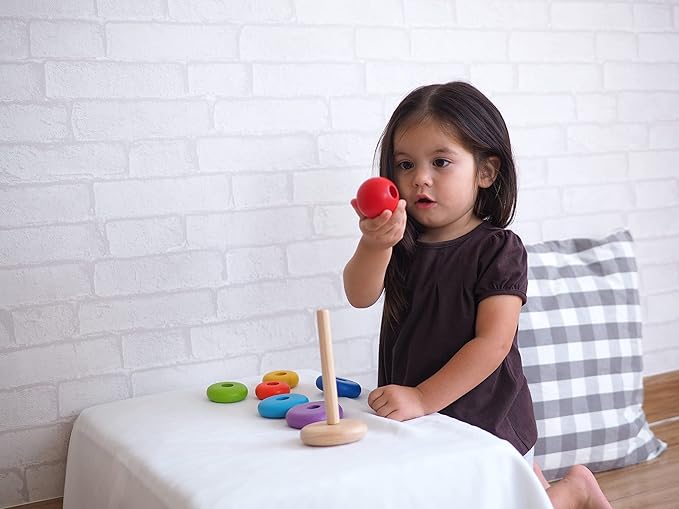 PlanToys Wooden 8 Piece Sorting and Stacking Ring Toy (5124) | Rainbow Color Collection |Sustainably Made from Rubberwood and Non-Toxic Paints and Dyes
