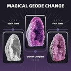 GobiDex Geodes Growing Science Kit for Kids Age 6-8-12, Geodes with Crystals Grow Fast in (24H), STEM Educational Science Experiments Toys, Geology & Rock Enthusiasts Collection, Gifts for Boys Girls