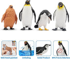 Toymany 12PCS Realistic Penguin Figurines, Plastic Polar Antarctic Animal Figures Set with Penguin Cub, Easter Eggs Cake Toppers Christmas Birthday Gift for Kids Toddlers
