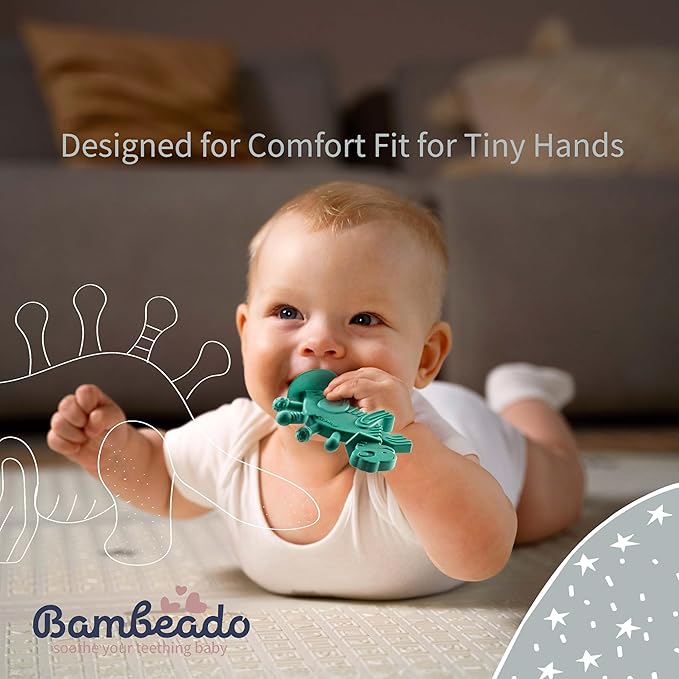 Bambeado Baby Teether Toy and Training Toothbrush: Dibly - The Dino Baby Teething Toys BPA-Free Teethers Inspired by Nature with Natural Rubber Pacifier