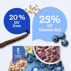 Gerber Toddler Food, Baby Food, Breakfast Oatmeal with Barley, Vanila Berry Flavor, Cereal, Iron Helps Support Brain Development, 8 Pack