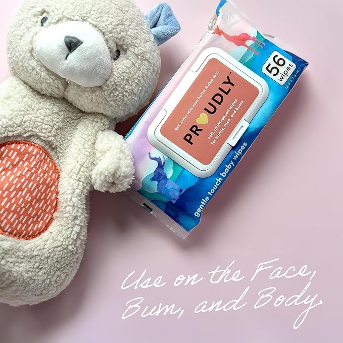 PROUDLY Gentle Touch Baby Wipes, Unscented & Hypoallergenic Wipes for Black & Brown Babies' Skin Care, 672 Count (12-Pack)