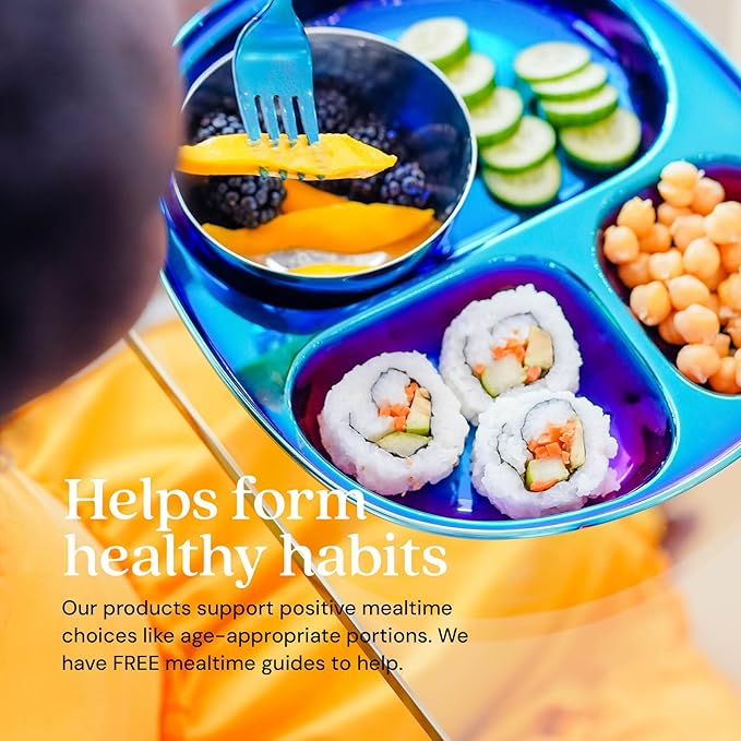 Ahimsa Stainless Steel Kids Plates - Divided Toddler Plates, Pediatrician Designed, Non Toxic Toddler Plate, BPA Free & Dishwasher Safe (Blue Single)