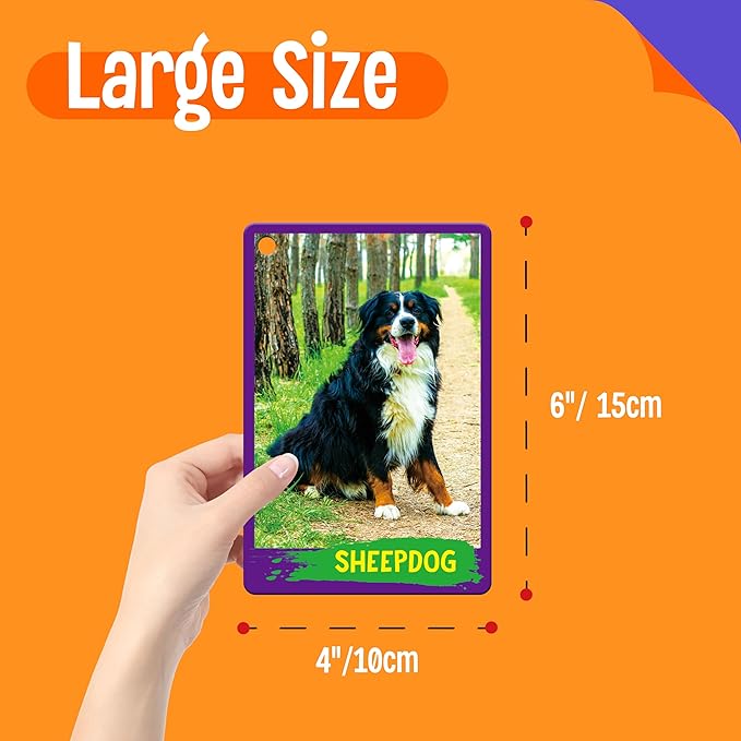 My First 120 Animals, 60PCS Realistic Zoo Animal Cards Farm/Wild/Marine Animals/Insects/Birds Flashcards Montessori & Science Educational Toys Preschool Learning for Homeschool Preschool Toddler Kids