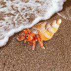 Hermit Crab Plush Toy,Crab Stuffed Animal,Simulated Plush Toy,Soft Stuffed Toy for Adults Birthday for Boys and Girls-10 Inch