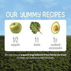 Happy Baby Organics Stage 2 Baby Food Pouches, Gluten Free, Vegan & Healthy Snack, Clearly Crafted Fruit & Veggie Puree, Apples, Kale & Avocados, 4 Ounces (Pack of 16)