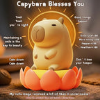 Cute Capybara Night Light, LED Squishy Novelty Animal Night Lamp,2 Levels Dimmable/Timer Nursery Nightlight for Kids, Rechargeable Touch Bedside Lamp, Bedroom/Dorm Decor, Baby Boys Girls Gifts