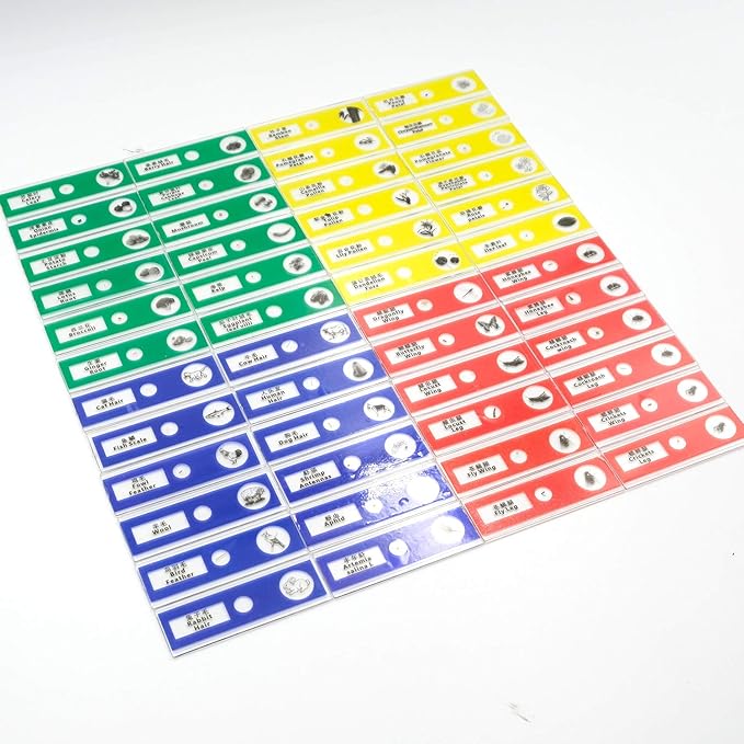 48pcs Prepared Plastic Microscope Slides Biological Specimen with 4 Boxes for Children Student Enlighten Education