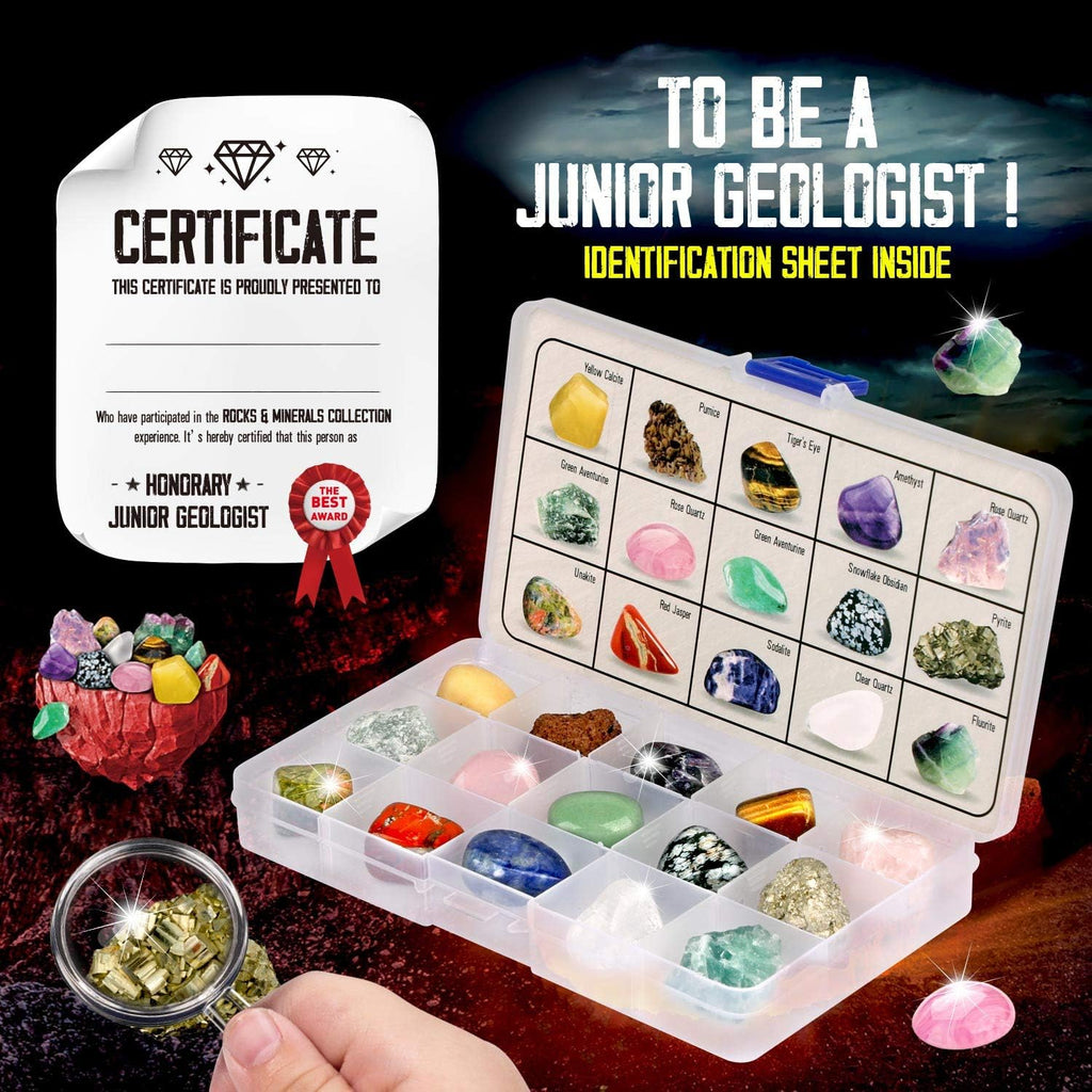 XXTOYS Rocks Collection - 15-Piece Rock Collections for Kids - Cool Geology Gem Kit with Identification Sheet - Gemstones Set Box with Learning Guide and Storage Case - Educational Gift for Kid
