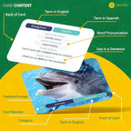 Spanish Vocabulary Flash Cards – 600 Full Color Cards [Updated 2025 Edition] Educational Language Learning Resource - Memory & Sight Words – Game Like Play - Kids, Grade School, Classroom, Homeschool