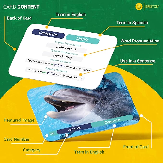 Spanish Vocabulary Flash Cards – 600 Full Color Cards [Updated 2025 Edition] Educational Language Learning Resource - Memory & Sight Words – Game Like Play - Kids, Grade School, Classroom, Homeschool