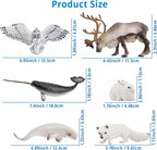 Toymany 12PCS 4-7" Large Polar Animals Figurines, Plastic Arctic Animal Toy Preschool Set Includes Polar Bear,Caribou,Whales,Walrus, Cake Toppers Christmas Birthday Toys Gift for Kids Toddlers