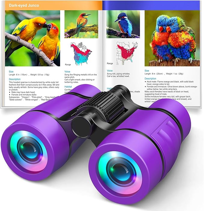 Girls Toys Age 3-7: LET'S GO! Compact Bird Watching Binoculars for Kids Ages 3 4 5 6 7 Year Old Girl Boy Gifts Idea Outside Travel Educational Toy for Kid Preschool Toddler Easter Stuffers