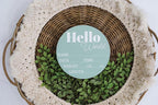 Hickory Hollow Designs - Baby Announcement Sign for Newborn Boys and Girls (Color Bases) - Hello World Nursery Decor Sign & Photo Prop for Babies Made of Birch Wood - 6" Circle Board (Sage)