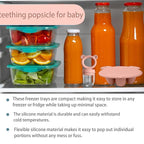 Silicone Baby Food Freezer Tray with Teething Popsicle Molds - Baby Fruit Feeder and Breastmilk Teether Combo