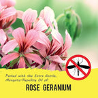 YAYA ORGANICS Baby Bug BAN Insect Repellent Wipes – All-Natural, DEET-Free, Non-Toxic, for Babies, Kids and Sensitive Skin (48 Count, Pack of 4)